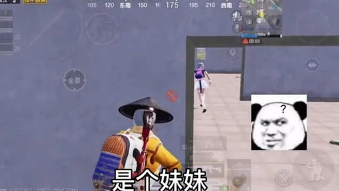 和平精英搞笑视频老六_和平精英之老六的爆笑瞬间，那些意想不到的搞怪战术