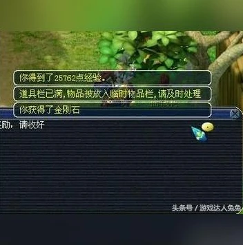 梦幻西游手游任务顺序怎么看不到了_梦幻西游手游任务顺序消失之谜,探寻背后的原因与解决之道