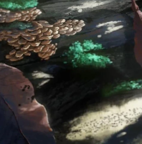 第五人格壁纸高清约瑟夫_第五人格中的约瑟夫，优雅与神秘的化身——高清壁纸背后的角色魅力