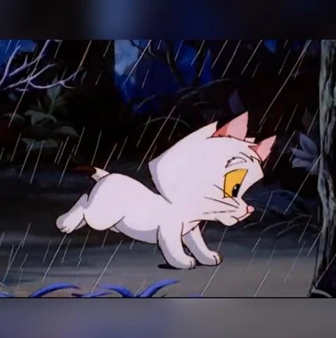 梦幻手游里的时光猫_梦幻西游手游时光猫，养大后的多重惊喜与独特作用