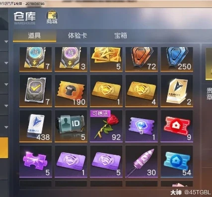 网易藏宝阁荒野行动买号流程_藏宝阁买荒野行动号全过程，安全便捷的账号交易之旅