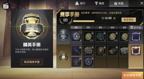 手游和平精英怎么付费买皮肤_和平精英付费指南，皮肤购买全解析