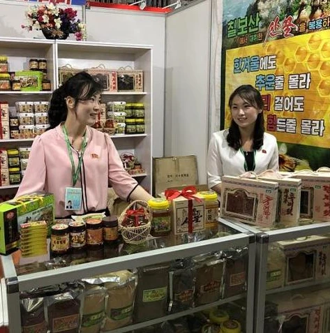 极品飞车礼包兑换码_极品飞车，兑换码全解析与获取攻略