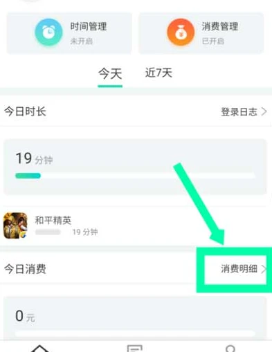 和平精英怎么查总消费_和平精英如何查询充值记录与总消费