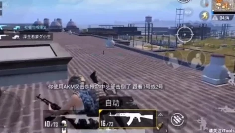 抖音和平精英小新bgm_〈抖音和平精英小新〉，游戏世界中的独特存在