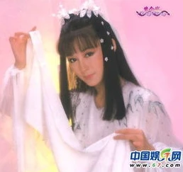 神雕侠侣潘迎紫图片大全_潘迎紫版,惊艳岁月的经典形象
