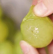 1折手游折扣_探秘01折扣手游游戏平台，1折手游折扣背后的真相