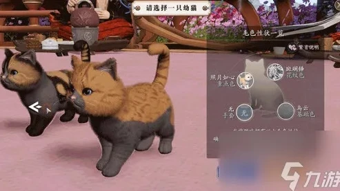 天刀手游的猫耳朵怎么获得_天刀手游猫耳朵获取全攻略