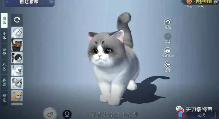 天刀手游的猫耳朵怎么获得_天刀手游猫耳朵获取全攻略
