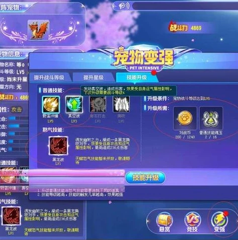 qq飞车道具抽奖数据指南是什么_QQ飞车道具抽奖数据指南，深度解析抽奖背后的奥秘