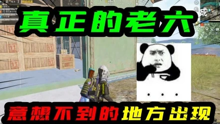 和平精英视频老六视频下载安装_和平精英老六玩法视频下载全攻略，畅享独特游戏乐趣