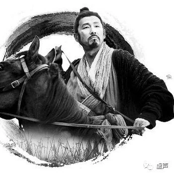 我想看乱世王者小说_乱世王者，热血与权谋的传奇之旅