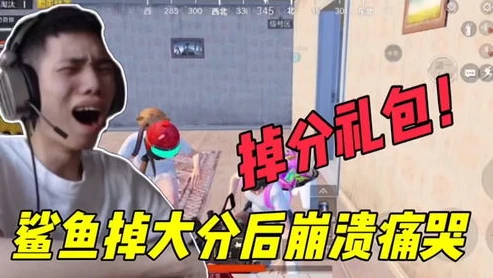 和平精英鲨鱼掉大分最新视频_和平精英,鲨鱼掉大分背后的跌宕起伏与游戏启示