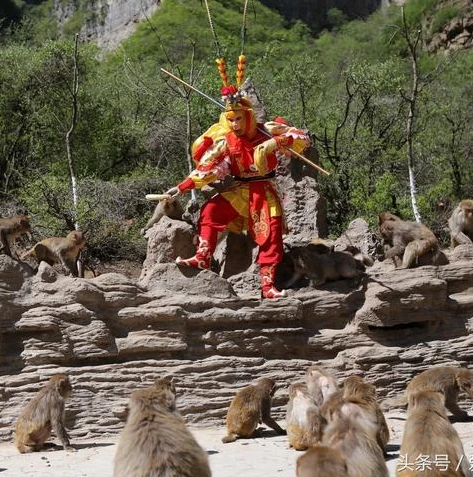 三国杀将灵转生升级表_三国杀将灵转生等级全解析