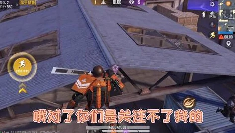 鲨鱼的和平精英_鲨鱼，和平精英战场上的传奇解说者
