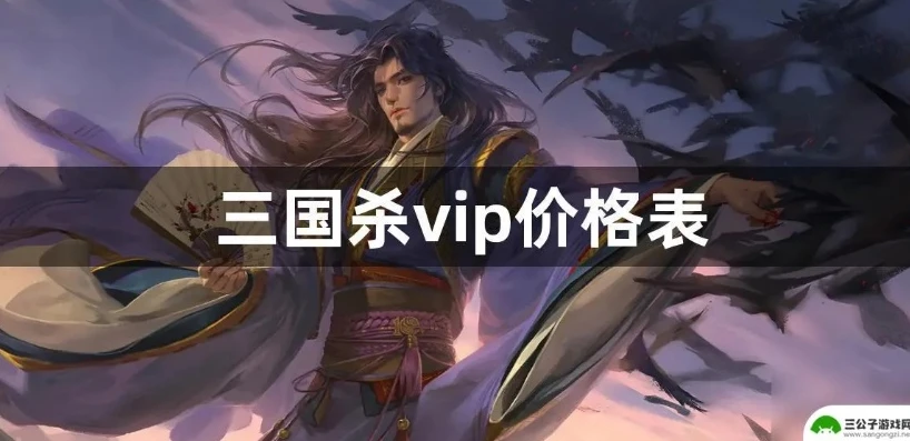 移动版三国杀vip价格表最新_移动版三国杀VIP价格表全解析，超值权益与性价比考量