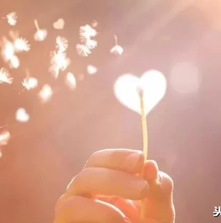 梦幻西游互通版手机多开教程_梦幻西游互通版手机多开教程，畅玩梦幻世界的多开秘籍