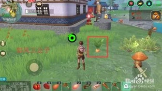 创造与魔法怎么驯服飞行坐骑_创造与魔法，飞行坐骑驯服全攻略