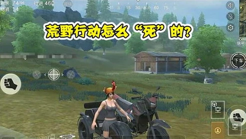 荒野行动不可以qq登录吗_荒野行动，QQ登录的现状与相关探讨