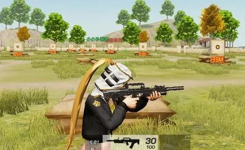 荒野行动pc版什么枪最好_电脑版荒野行动，最强枪械全解析
