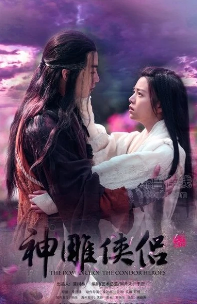 神雕侠侣2013免费观看全集在线观看高清_，重温经典武侠的新风貌与情怀