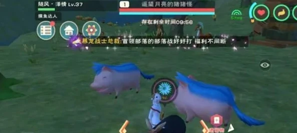 创造与魔法的兑换码最新的兑换飞行坐骑_创造与魔法，2024年6月最新飞行坐骑兑换码全解析