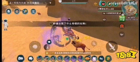创造与魔法奇遇坐骑怎么获得?_创造与魔法奇遇坐骑获取全攻略，提高获取几率的秘诀