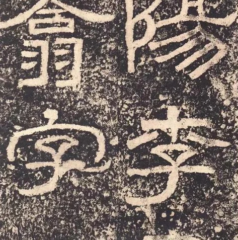 非人学园普通下载_非人学园下载全攻略，畅玩趣味学园的第一步