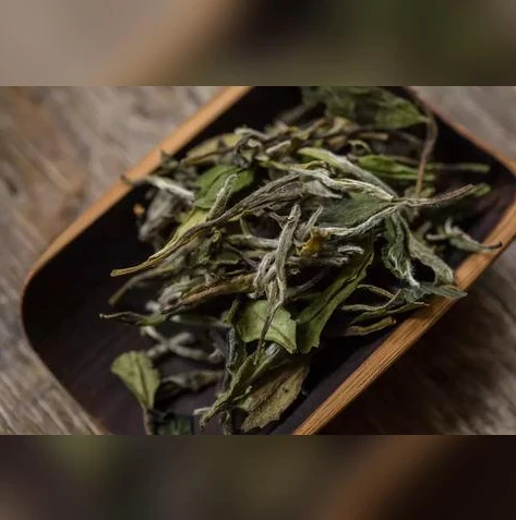 模拟器玩荒野行动有人吗_模拟器玩荒野行动，独特的游戏体验与玩家生态