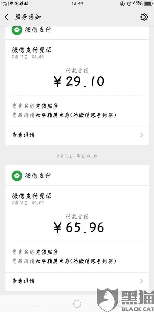 苹果手机和平精英如何充值点券_苹果手机和平精英点券充值全攻略