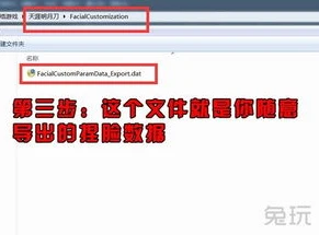 天涯明月刀捏脸数据导出在哪_天涯明月刀捏脸数据导出全解析，最新方法与注意事项