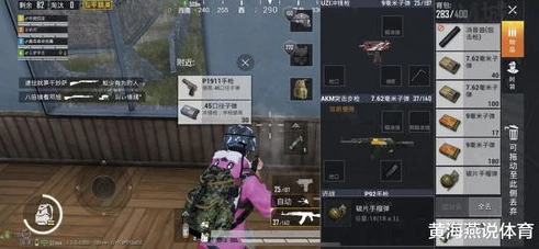 和平精英鲨鱼几点直播_探寻鲨鱼和平精英直播时间，畅享热血对战之旅