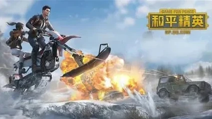 和平精英2021年永久兑换码_和平精英2023永久兑换码全解析，获取超值道具的秘籍