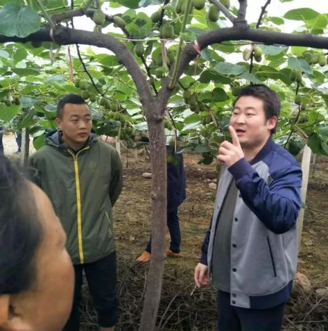问道手游哪天开新区_问道手游新服开启，新征程的展望与攻略准备