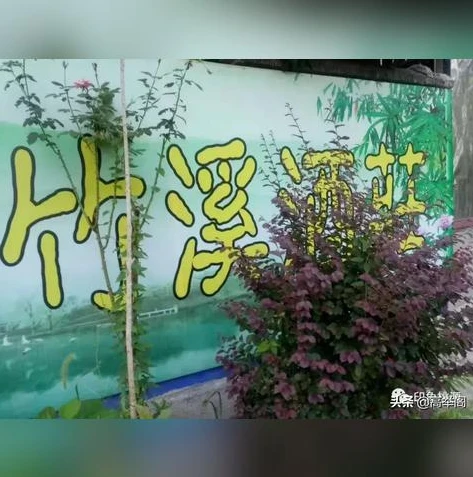 桃花源记手游礼包激活码_桃花源记手游礼包激活码2021，畅享桃源世界的超值福利