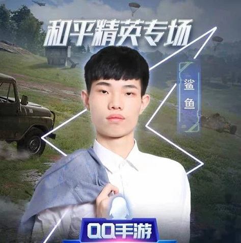 在哪里观看和平精英鲨鱼直播回放_和平精英鲨鱼直播观看指南，回放与直播全知道