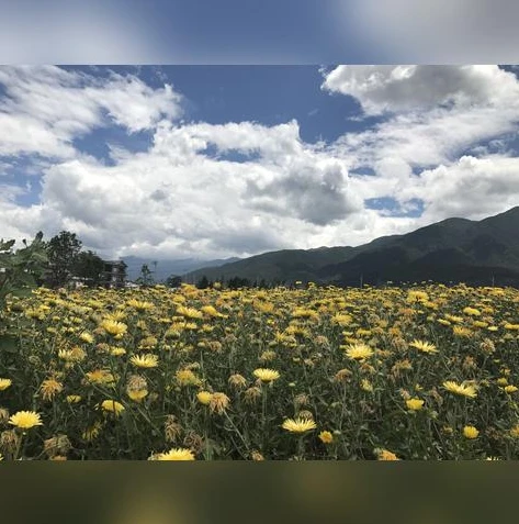荒野行动啥时候出来_荒野行动新地图，翘首以盼的未知世界
