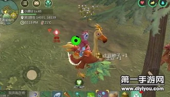 创造与魔法宝箱位置图新版_创造与魔法2024最新藏宝图位置全解析