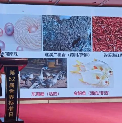 王者荣耀视频最新2021_王者荣耀2024，最新版视频中的荣耀世界