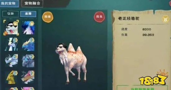 创造与魔法宠物合成资质是随机的吗_创造与魔法宠物合成资质随机之谜，深度解析