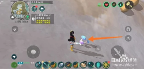 创造与魔法宠物蜥蜴饲料_创造与魔法蜥蜴饲料配方大全