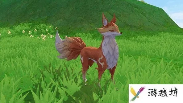 创造与魔法幼鲭位置_创造与魔法，幼月狐饲料制作与幼鲭位置全解析