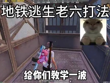 老六 和平精英_和平精英中的老六传奇，真人版老六的战术与趣事