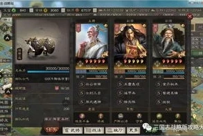 三国志战略版乱世妖星攻略视频_三国志战略版乱世妖星攻略，称霸乱世的独特组合之道