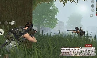 荒野行动免费下载安装中文版手游_畅玩〈荒野行动〉中文版，免费下载安装全解析