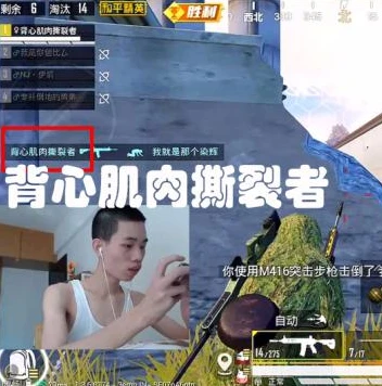 和平精英鲨鱼直播间在线直播回放在哪看_和平精英鲨鱼直播间在线直播回放，精彩回顾与观看指南