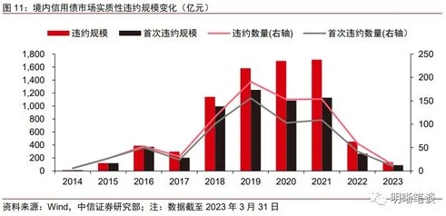 _，期待与展望