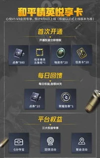 和平精英如何查看充值了多少钱_和平精英查看充值金额全攻略