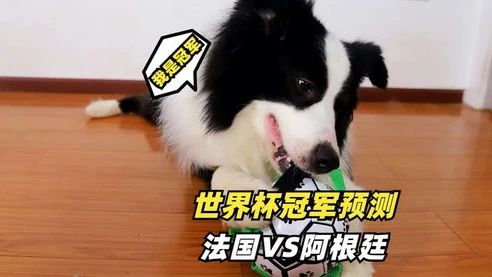 和平精英小新vs鲨鱼谁会赢啊_和平精英，小新VS鲨鱼，巅峰对决谁主沉浮？