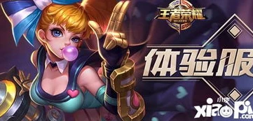 王者荣耀官网体验服官网官方下载_深入探索王者荣耀体验服，官网下载与精彩体验全解析